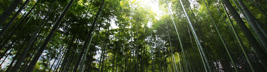 EnviChem Technologies